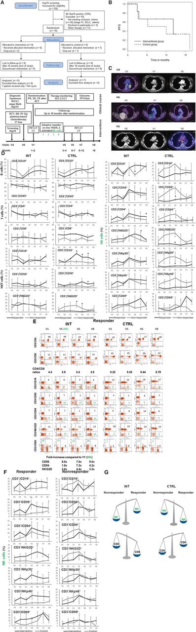 Figure 1. A, CONSORT diagram and schematic representation of the clinical course and interventions of the randomized phase II clinical trial. NK-cell treatment cycles 1 to 4 are marked in green. Visits for blood donations and timelines (months) are indicated at the bottom. B, Kaplan–Meier curves for PFS of patients of the INT (solid line) and CTRL (dotted line) arms of all analyzed patients. C, Representative CT and PET-CT scans (axial soft-tissue window) of patients of the INT arm with complete response (CR), partial response (PR), and progressive disease (PD) before and after therapies: screening for mHsp70 (VS), 1–2 months after RCT at randomization (V1), last follow-up 18 months after randomization (V8). D, Comparison of the proportion of different lymphocyte subpopulations in responders and nonresponders of the INT and CTRL arm at visits VS (screening), V0 (after RCT), V1 (1–2 months after RCT at randomization), V5 (3–4 months after randomization), V6 (6–7 months after randomization), V7 (9–12 months after randomization), and V8 (18 months after randomization). Lymphocyte subpopulations were assessed using the following antibody combinations: CD3−/CD19+ B cells; CD3+/CD45+ T cells; CD3+/CD4+ T helper cells; CD3+/CD8+ cytotoxic T cells; CD3+/CD16+, CD3+/CD56+, CD3+/NKG2D+ NK-like T cells (NKT); CD3−/CD16+, CD3−/CD56+, CD3−/CD94+, CD3−/NKG2D+, CD3−/NKp30+, CD3−/CD46+, CD3−/CD69+ NK cells. Responders of the INT arm, n = 4; nonresponders of the INT arm, n = 2; responders of the CTRL arm, n = 2; nonresponders of the CTRL arm, n = 5.*, P ≤ 0.05. E, Representative dot blot analysis of responders of the INT versus CTRL arms at V1 (1–2 months after RCT at randomization), V5 (3–4 months after randomization), V6 (6–7 months after randomization), and V8 (18 months after randomization). The following lymphocyte subpopulations are shown in the different quadrants: CD3+/CD4+ T helper cells; CD3+/CD8+ cytotoxic T cells; CD3+/CD16+, CD3+/CD56+, CD3+/NKG2D+, CD3+/CD69+ NK-like T cells (NKT); and CD3−/CD16+, CD3−/CD56+, CD3−/CD94+, CD3−/NKG2D+, CD3−/NKp30+, CD3−/CD46+, CD3−/CD69+ NK cells. The proportions of all lymphocyte subsets are shown in black, and the proportions of CD3− NK cells are shown in green. The CD4/CD8 ratios and the fold increase in CD3−/CD56+, CD3−/CD94+, and CD3−/NKG2D+ NK-cell subsets at V5, V6, and V8 compared with V1 are shown below the dot blot graphs. () F, Comparison of the proportion of NK-cell subsets in responders and nonresponders of the INT versus CTRL group at visits VS (screening), V0 (after RCT), V1 (1–2 months after randomization), V5 (3–4 months after randomization), V6 (6–7 months after randomization), V7 (9–12 months after randomization), and V8 (18 months after randomization). The following NK-cell subsets were assessed: CD3−/CD16+, CD3−/CD56+, CD3−/CD94+, CD3−/NKG2D+, CD3−/NKp30+, CD3−/CD46+, CD3−/CD69+. Responders of the INT arm, n = 4; nonresponders of the INT arm, n = 2; responders of the CTRL arm, n = 2; nonresponders of the CTRL arm, n = 5. *, P ≤ 0.05. G, Schematic representation of the distribution of NK cells (green) and CD8+ cytotoxic T cells in nonresponders and responders of the INT and CTRL arms.