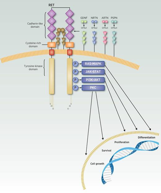 Progresses Toward Precision Medicine in RET-altered Solid Tumors ...