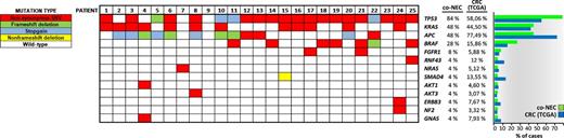 Figure 1. Mutational profile of co-NEC. Panel of cancer-related genes was sequenced and mutated cases are indicated in 25 co-NEC patients’ tumors. The type of mutation is also detailed. The frequency of cases mutated per each gene is indicated for co-NET and compared with CRC cases studied by TCGA (right).