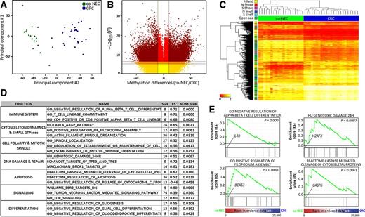 Figure 3. co-NECs show a distinctive methylome. A, A principal component dot plot showing the differences of methylation profiles between co-NECs and CRC. B, A volcano plot showing significant differences in methylation status of CpGs island in co-NECs and CRC adenocarcinomas. C, A hierarchical cluster showing two different clusters of methylation profiles in co-NET and CRC. The types of genome region are also indicated. D, From the list of genes differentially methylated in co-NECs versus CRC, we performed GSEA using Broad Institute online tools. A list of gene sets significantly enriched in co-NEC versus CRC is shown indicating the number of genes per set (size) and their enrichment score (ES). E, GSEA plots showing enrichment of particular gene sets when comparing genes differentially methylated in co-NEC versus CRC cases. P values are indicated as well as particular genes in the leading edge.