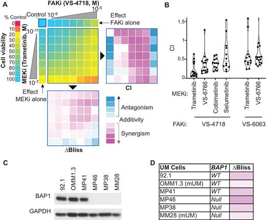 Figure 2. Synergy between FAKi and MEKi in uveal melanoma and mUM cells. A, Left, 92.1 cell viability 72 hours after treatment. Right, CI values determined using the Chou–Talalay method (CI < 1 synergism, CI = 1 additivity, CI > 1 antagonism, scale from −2 to +2). Bottom, ΔBliss scores (score < 0 synergism, score = 0 additivity, score > 0 antagonism, scale from −1 to +1). B, CI at relevant doses (viability = 50% ± 5%) using various combinations of FAKi/MEKi. C, Immunoblot depicting BAP1 levels in uveal melanoma and mUM patient-derived cells. D, Delta score (ΔBliss), assessing synergism between MEKi (trametinib, 10 nmol/L) and FAKi (VS-4718, 1 μmol/L) in a panel of uveal melanoma and mUM cells with distinct BAP1 status.