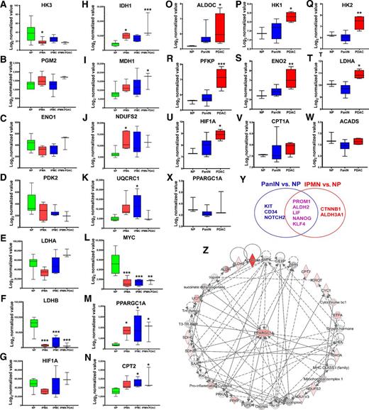 Figure 1. Meta-analysis of stemness programs and metabolic states in IPMN- and PanIN-mediated PDAC progression. NCBI GEO datasets (GSE19650 and GSE43288) were used to investigate the differential transcriptomic signatures of stemness and metabolic genes. The data analysis and processing were performed by quantile normalization and log2 transformation. A–N, Representation of the differentially expressed glycolysis genes (A–G), OXPhos genes (H–K), MYC (L), PPARGC1A (M), and CPT2 (N) in indicated samples: NP (N = 7), IPMN-derived PDAC (IPMN-PDAC; n = 3), IPMA or IPMN with low-grade dysplasia (n = 6), and IPMC or IPMN with high-grade dysplasia (n = 6). O–X, Representation of the differentially expressed glycolysis genes (O–U), fatty acid β-oxidation genes (V–W), and PPARGC1A (X) in indicated samples: NP (n = 3), PanIN (n = 13), and PDAC (n = 4). Data represent mean ± SD. P values were calculated using ordinary one-way ANOVA (multiple comparisons). The mean of each sample was compared with the mean of NP. Asterisks indicate a statistically significant difference between each sample and NP (P < 0.05; ∗, P < 0.05; ∗∗, P < 0.01; ∗∗∗P < 0.001.) Y, Venn diagram showing common and unique overexpressed stemness genes in PanIN and IPMN. Data represent mean ± SD. P values were calculated using ordinary one-way ANOVA (multiple comparisons; ∗, P < 0.05). Z, Network analysis of the differentially expressed stemness and metabolic genes from the GSE19650 dataset using IPA. The network shows that the PPARGC1A is central to stemness, FAO, and OXPhos pathways in IPMN.