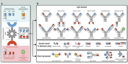 Figure 1. Schematic overview of the basic building blocks of a bispecific molecule and some of the leading strategies used for its generation. Three different components are required for the generation of a bsAb: the binding domains, the “multimerization core” that allows homo- or hetero-multimer formation, and the linkers connecting the other blocks (A). The binding domains can be derived from antibodies, such as Fabs, scFvs, or sdAbs, or from natural receptors or ligands. There are multiple technology platforms allowing fine-tuning of binding valence, size, and stoichiometry (A and B). In the simplest setting a bsAb contains one binding site for each antigen (1 + 1), but other formats with 1 + 2, 1 + 3, 2 + 2, or 3 +3 stoichiometries have been generated (A and B). Symmetric IgG-based bsAbs contain unmodified heavy chain (HC) constant regions, whereas asymmetric IgG-based bsAbs contain modified HC to force heterodimerization, such as the knobs-into-holes (kih) strategy. Two antigen-binding domains can be directly fused, resulting in small-sized variable (V) domain-only molecules. Alternatively, two binding domains can be fused to a non-immunoglobulin protein, such as human serum albumin (HSA), or human collagen homotrimerization domains, among others. ATTACK, asymmetric tandem trimerbody for T-cell activation and cancer killing; DART, dual affinity retargeting; DNL, dock-and-Lock; DVD-Ig, dual variable domain immunoglobulin; LiTE, bispecific light T-cell engager; tandAb, tandem diabody.