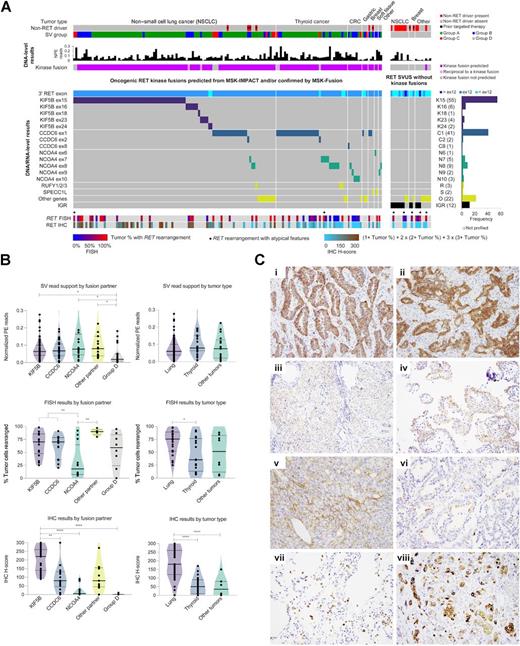 A Performance Comparison of Commonly Used Assays to Detect RET Fusions ...