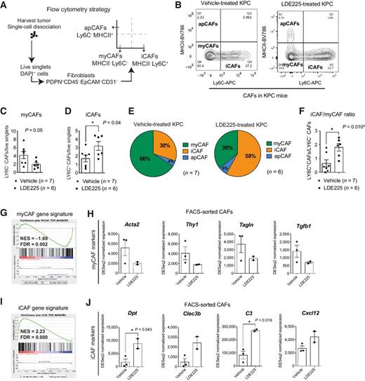 Figure 4. Two-week Hedgehog pathway inhibition alters the ratio of myCAFs and iCAFs in PDAC. A, Schematic of flow cytometry strategy for myCAFs and iCAFs from 2-week vehicle- and LDE225-treated KPC tumors. B, Representative flow plots showing the gating strategy for the analysis of DAPI− CD45− CD31− EpCAM− PDPN+ CAFs in 2-week vehicle- (n = 7) and LDE225-treated (n = 6) KPC tumors. C, Flow cytometry analysis of myCAFs (calculated from DAPI+ singlets) in vehicle- (n = 7) and LDE225-treated (n = 6) KPC tumors. Results show mean ± SEM. Unpaired Student t test. D, Flow cytometry analysis of iCAFs (calculated from DAPI+ singlets) in vehicle- (n = 7) and LDE225-treated (n = 6) KPC tumors. Results show mean ± SEM. *, P < 0.05, unpaired Student t test. E, Proportions of myCAF, iCAF, and apCAF subtypes from the PDPN+ gate in vehicle- (n = 7, top) and LDE225-treated (n = 6, bottom) KPC tumors, as measured by flow cytometry analysis. Results show average percentage of biological replicates. F, Flow cytometric analysis of the iCAF/myCAF ratio from the PDPN+ gate in vehicle- (n = 7) and LDE225-treated (n = 6) KPC tumors. Results show mean ± SEM. *, P < 0.05, unpaired Student t test. G, GSEA of the myCAF gene signature in FACS-sorted CAFs from 2-week LDE225-treated KPC tumors (n = 2) compared with FACS-sorted CAFs from vehicle-treated controls (n = 3). The myCAF gene signature was defined from the study by Öhlund and colleagues (27). H, RNA-seq expression of myCAF markers (Acta2, Thy1, Tagln, and Tgfb1) in FACS-sorted CAFs from vehicle- (n = 3) and LDE225-treated (n = 2) KPC tumors. Results show mean ± SEM. No statistical difference was observed as calculated by unpaired Student t test. I, GSEA of the iCAF gene signature in FACS-sorted CAFs from 2-week LDE225-treated KPC tumors (n = 2) compared with FACS-sorted CAFs from vehicle-treated controls (n = 3). The iCAF gene signature was defined from the study by Öhlund and colleagues (27). J, RNA-seq expression of iCAF markers (Dpt, Clec3b, C3, and Cxcl12) in FACS-sorted CAFs from vehicle- (n = 3) and LDE225-treated (n = 2) KPC tumors. Results show mean ± SEM. *, P < 0.05, unpaired Student t test.