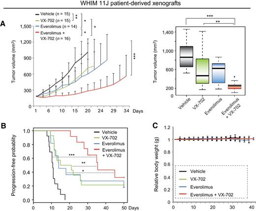 Figure 6. The therapeutic effect of VX-702 as a single agent or adjuvant to everolimus in the WHIM 11J PDX model with de novo tamoxifen resistance. A, WHIM 11J PDX tumors were transplanted into ovariectomized female nude mice in the absence of estrogen or tamoxifen supplementation. Upon tumor establishment, mice were randomized into four treatment arms: vehicle, VX-702 (50 mg/kg, o.g., twice a day), everolimus (5 mg/kg, o.g., daily), or VX-702 + everolimus. The average tumor volumes of each treatment group (left). The tumor volumes of different treatment arms on day 22 (right). The box plot illustrates the distribution of the tumor volumes of each treatment group based on the following: minimum, first quartile, median, third quartile, the maximum, and the outliers. The error bars represent the SDs. B, Kaplan–Meier survival plot comparing the progression-free survival of different treatment arms. Progression-free survival was analyzed on the basis of tumor-tripling time. C, The body weight measurements of mice in different treatment arms. *, P < 0.05; **, P < 0.01; ***, P < 0.001. P values were calculated on the basis of two-way mixed ANOVA for comparing the tumor volumes and generalized Wilcoxon test for progression-free survival.