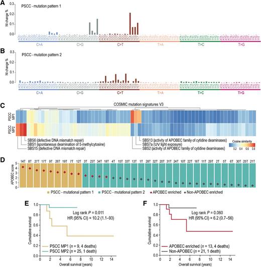 Figure 2. Mutational patterns in PSCC. Mutational patterns, inferred by cophenetic correlation, indicated two main mutation signatures defined as MP1 (A), characterized by an enrichment of C>T and C>G changes at TCN context (N, any of the four bases), and at lower frequency C>A changes at the same TCN context and MP2 (B), characterized by an enrichment of C>T changes, mainly at NCG context. C, The MP1 and MP2 were compared with each single-base substitution signatures (v3) from COSMIC database by estimation of their cosine similarity, represented in the heatmap. MP1 was highly similar to signatures SBS2 (CS = 0.767), SBS7a (CS = 0.644), and SBS13 (CS = 0.618). SBS2 and SBS13 signatures are attributed to the activity of APOBEC family of cytidine deaminases, while SBS7a is attributed to UV light exposure. MP2 was highly similar to signatures SBS6 (CS = 0.836), SBS1 (CS = 0.796), and SBS15 (CS = 0.708). SBS6 and SBS15 are associated with defective mismatch repair system, while SBS1 is linked to deamination of 5-methylcytosine to thymine. D, Nine penile cancer samples showed enrichment of MP1 (mustard bars) and 25 showed enrichment of MP2 (green bars). APOBEC enrichment score (estimated by an independent approach) is shown in the y-axis and is represented as red diamonds for significantly enriched samples and as gray diamonds for not enriched samples. High APOBEC enrichment scores were observed among tumors exhibiting MP1. E, Kaplan–Meier plot shows OS curves for penile cancer samples with enrichment of mutation profiles 1 (mustard line) and 2 (green line). OS of patients with penile cancer with tumors enriched for mutation profile 1 was significantly lower (four deaths, 44.4%) than patients with enrichment of mutation profile 2 (one death, 4%). F, Kaplan–Meier plot shows OS curves for APOBEC-enriched (red line) and non-APOBEC–enriched (gray line) penile cancer samples. Patients with APOBEC-enriched tumors (four deaths, 30.8%) showed worse OS than patients with non-APOBEC–enriched tumors (one death, 4.8%), but the difference was not significant. CI, confidence interval; nt, nucleotide.