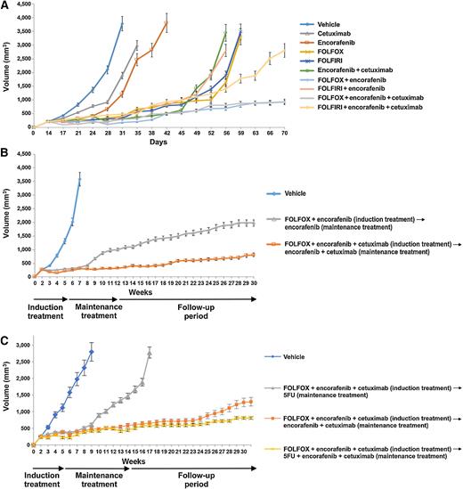 Figure 4. Antitumor efficacy with different treatment combination and sequence in BRAFV600E HT29 tumor xenograft. HT29 cells were injected subcutaneously into the left flanks of nude mice and treated with different combination regimen and in different sequence. A, After 2 weeks (average tumor size 200–400 mm3) mice were treated for 6 weeks with: vehicle, encorafenib, cetuximab, alone and in the combination, FOLFOX or FOLFIRI alone, with encorafenib and in combination with E+C. B, After 2 weeks of s.c. injection, mice were treated with vehicle, FOLFOX + encorafenib (10 mice) and FOLFOX + E+C (10 mice). At the end of 3 weeks of therapy, defined as induction treatment, treated mice were randomized into encorafenib alone or E+C, respectively (maintenance treatment). C, After 2 weeks of s.c. injection, mice were treated with vehicle (10 mice), FOLFOX + E+C (30 mice) for 3 weeks, defined as induction treatment. Subsequently treated mice were randomized into 5-FU alone (10 mice), E+C (10 mice), and 5-FU + E+C (10 mice; maintenance treatment).