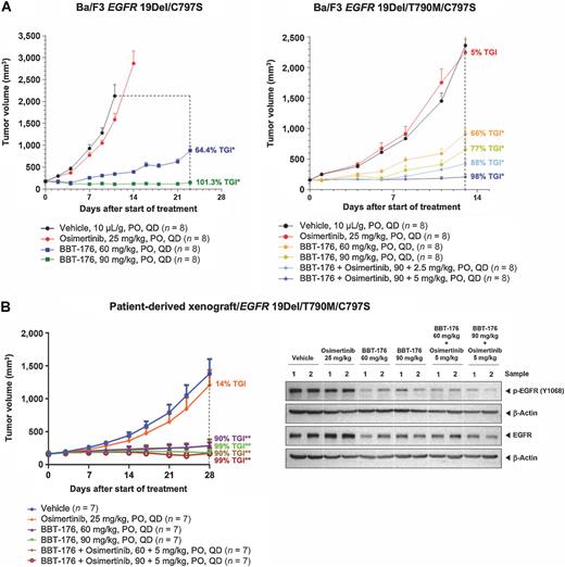 BBT-176, a Novel Fourth-Generation Tyrosine Kinase Inhibitor for ...