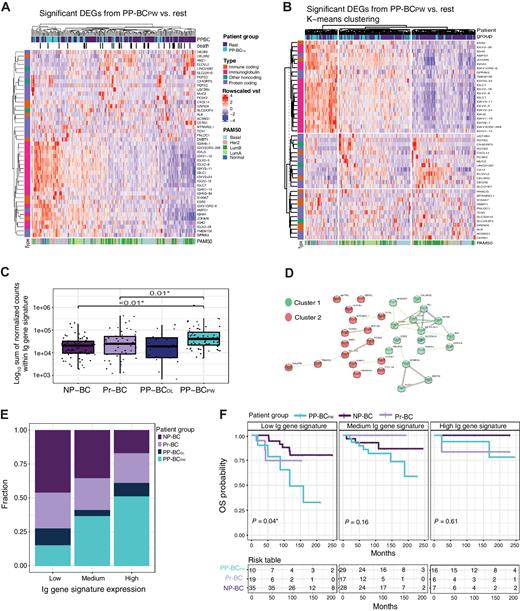 Figure 2. RNA expression profiling discriminates PP-BCPW (n = 66) breast tumor tissue from tumor samples from patients with PP-BCDL (n = 18), Pr-BC (n = 51), and NP-BC (n = 76). A, DEG analysis of all expressed genes above the minimum count threshold (n = 22,355) revealed the presence of 47 genes with statistically significant differences in gene expression in tumor biopsy samples from patients with PP-BCPW compared with the pooled transcriptomes obtained from tumor tissues from patients with PP-BCDL, Pr-BC, and NP-BC. B, Counts were subjected to a variance stabilizing transformation and visualized as row Z scores. K-means clustering of the gene expression data of the 47 DEGs identified the presence of three groups showing either high, intermediate, or low expression (column clusters) of the Ig gene signature (row cluster 3). Immune protein coding genes were identified via the ImmPort database (69). C, Relationship between Ig gene signature expression and patient group. Ig gene expression (heatmap row cluster 3) was normalized via DESeq2’s size factors and summed as a single metagene per sample, displayed as a log10 transformation. Ig metagene expression was increased in patients with PP-BCPW compared with patients with Pr-BC (P = 0.01) and NP-BC (P < 0.01). P values were determined by Wilcoxon rank-sum tests. D, STRING database clustering analysis of RNA expression data of these 47 DEGs generated two distinct biological clusters, either involved in the humoral immune response (green) or in protein biosynthesis (red). E, Bar plots indicate that the group of patients with PP-BCPW harbored the largest fraction of tumor biopsy samples with an intermediate or high gene expression level of the Ig gene signature compared to patients with PP-BCDL, Pr-BC, and NP-BC (χ2 P < 0.01). F, PP-BCDL was excluded from survival curves due to low sample numbers delivering insufficient power (see decision tree visualized in Supplementary Fig. S1). OS analysis on patients with >20 months of follow-up revealed that patients with PP-BCPW with low expression levels (n = 10) of the Ig gene signature had a significantly increased risk for death compared with patients with Pr-BC (n = 19) and NP-BC (n = 35) with low Ig gene signature expression levels (log-rank P = 0.04). No significant difference was observed in OS in patients with PP-BCPW (n = 29), Pr-BC (n = 17), and NP-BC (n = 28) with medium Ig gene signature expression levels or in patients with PP-BCPW (n = 16), Pr-BC (n = 6), and NP-BC (n = 7) with high Ig gene signature expression levels (log-rank P = 0.16 and P = 0.61, respectively). Patients with PP-BCDL (n = 18) were not included in the survival analysis due to insufficient numbers for significant power. Significant P values are indicated with an asterix (*).