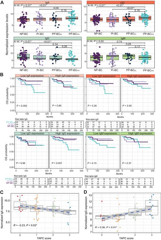 Figure 4. Ig-heavy subtype repertoire in transcriptome sequencing data of patients with PP-BCPW (n = 66), PP-BCDL (n = 18), Pr-BC (n = 51), and NP-BC (n = 76). Heavy-chain genes from the same antibody isotype (i.e., IGHA1 and IGHA2) were summed and subjected to TMM normalization with a log2 transformation. A, Increased expression levels of IgA (Wilcoxon, P < 0.01) and IgD (Wilcoxon, P < 0.01) genes and decreased expression levels of IgG genes (Wilcoxon, P < 0.01) were observed in PP-BCPW versus NP-BC breast cancer tissue. No significant differences were observed in PP-BCPW compared with neither PP-BCDL nor Pr-BC. No significant difference was observed in the IgM repertoire (Kruskal–Wallis, P = 0.50) between patient groups. B, PP-BCDL (n = 7) was excluded from survival curves due to low sample numbers delivering insufficient power (see decision tree in Supplementary Fig. S1). Patients with PP-BCPW with low IgA gene expression levels had a borderline significant poorer prognosis compared with Pr-BC and NP-BC (log-rank, P = 0.052). No significant difference was observed between patient groups with low IgD (log-rank, P = 0.26), IgG (log-rank, P = 0.98), or IgM (log-rank, P = 0.15) gene expression levels. Within the groups with high IgG gene expression levels, patients with PP-BCPW had a nonsignificant increased risk for death compared with patients with Pr-BC and NP-BC (log-rank P = 0.057). No difference in survival were observed in patients with high IgA, IgD, or IgM gene expression levels (log-rank P values of respectively 0.86, 0.56, and 0.37). C, IgA gene expression levels were negatively correlated with TAPC counts in PP-BCPW (Kendall correlation, R = -0.23, P = 0.02), whereas IgG gene expression levels (D) were positively correlated with TAPC counts (Kendall correlation, R = 0.36, P < 0.01). Significant P values are indicated with an asterix (*).