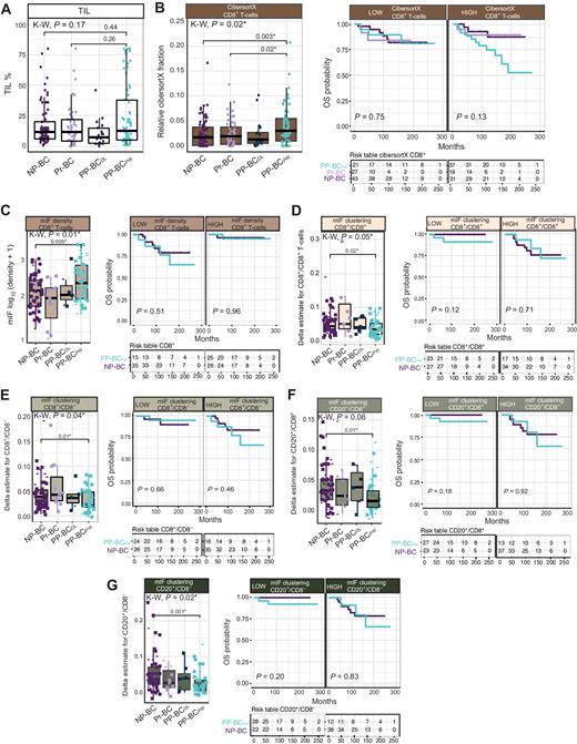 Figure 5. Presence of TILs and clustering between CD20+ naïve B cells, CD8+ cytotoxic T cells, and CD8− T cells in breast tumor tissue and correlation with outcome. When applicable, patient groups below the minimum power threshold (Pr-BC, n = 11 and PP-BCDL n = 7) are visualized but not subjected to statistical tests (see decision tree in Supplementary Fig. S1). Patient groups are also accordingly removed from the survival analyses. A, No statistical difference in stromal TIL infiltration was observed between PP-BCPW (n = 66), Pr-BC (n = 51), and NP-BC (n = 76; Kruskal–Wallis, P = 0.17) tumor tissue. B, CIBERSORTx analyses indicated a significant increase in CD8+ cytotoxic T-cell fractions in PP-BCPW (n = 55), PP-BCDL (n = 17), Pr-BC (n = 42), and NP-BC (n = 70; Kruskal–Wallis, P = 0.01) tissue. No significant prognostic differences related to CD8+ CIBERSORTx fractions were observed in patients with PP-BCPW compared with patients with Pr-BC and NP-BC. C, Immune cell density (number of cells/total tissue area and log10 transformation) and (D) localized clustering (normalized cellular colocalization at a radius of 30 mm) in CD8+ T cells significantly differed in PP-BCPW tissue compared with NP-BC tissue (Wilcoxon, P = 0.005 and P = 0.02, respectively). The observed increased CD8+ T-cell densities and decreased CD8+ clustering in PP-BCPW were not associated with differences in survival between patients with PP-BCPW and NP-BC. E, PP-BCPW tumor tissue showed a significant decrease in clustering of CD8+ with CD8− T cells (Wilcoxon, P = 0.02) compared with NP-BC tissue. In PP-BCPW tumor tissue, there was a significant decrease in clustering of CD20+ cells with (F) CD8+ T cells and (G) CD8− T cells compared with NP-BC tissue (Wilcoxon, P = 0.01 and P = 0.002, respectively). Clustering of these immune cell types did not correlate to prognostic differences in patients with PP-BCPW compared with patients with NP-BC. Significant P values are indicated with an asterix (*).