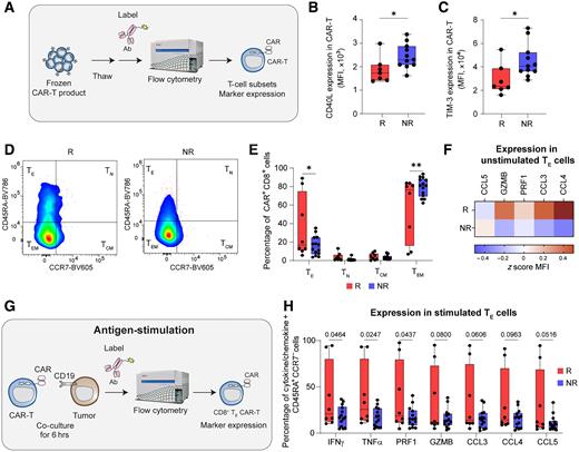 Single-Cell RNA Analysis Reveals Cell-Intrinsic Functions of CAR T ...
