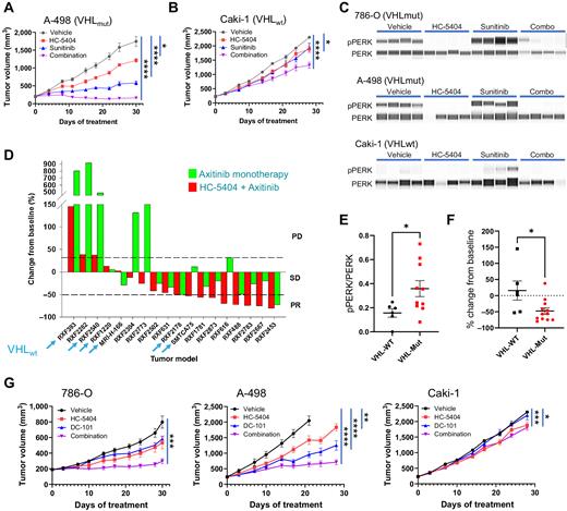 Figure 4. Sensitivity to VEGFR-TKI and HC-5404 combination is independent of VHL mutation status. A and B, A-498 and Caki-1 RCC tumor xenografts treated with HC-5404 (30 mg/kg; orally, twice-a-day) and sunitinib (20 mg/kg; orally, once-a-day) for 30 days. Final tumor volume analyzed by Welch ANOVA or one-way ANOVA following homogeneity of variance tests. Data represent mean ± S.E.M., n = 10 mice per group (*, P < 0.05; ****, P < 0.001). C, pPERK and PERK abundance evaluated by SimpleWestern in RCC tumor xenografts treated for 7 days with HC-5404 (30 mg/kg; orally, twice-a-day), sunitinib (20 mg/kg in Caki-1 and A-498; 40 mg/kg in 786-O; orally, twice-a-day), or a combination thereof. D, Waterfall plot illustrating relative change in tumor volume of 18 diverse RCC PDX models following 28 days of treatment in a single animal (n = 1/group/model) with either axitinib (30 mg/kg; orally, twice-a-day), HC-5404 (30 mg/kg; orally, twice-a-day), or a combination thereof. Models ranked on % change tumor volume in combination group. PD = >30% increase from baseline; stable disease (SD) = ≤30% increase from baseline and <50% regression; PR = ≥50% regression. Models that are VHL WT are indicated by an arrow. E, Quantification of pPERK and PERK protein levels by SimpleWestern from pretreatment baseline PDX tumor samples. Y-axis represents arbitrary fluorescence units. Differences in pPERK/PERK levels evaluated by Student t test, *, P < 0.05 (VHL-WT n = 6; VHL-MUT n = 11). F, Final tumor volume of 18 RCC PDX models following 28 days of treatment with HC-5404 (30 mg/kg, orally, twice-a-day) and axitinib (30 mg/kg, orally, twice-a-day). Differences in tumor volume evaluated by Student t test; *, P < 0.05 (VHL-WT: n = 6; VHL-MUT: n = 12). G, RCC CDX tumor models treated with HC-5404 (30 mg/kg orally, twice-a-day) and DC-101 (15 mg/kg; i.p., twice a week) for 28 days. Tumor volume on day 28 (786-O, Caki-1) or day 21 (A-498) was analyzed by Welch ANOVA or one-way ANOVA following homogeneity of variance tests. Data represent mean ± S.E.M., n = 10 mice per group (*, P < 0.05; **, P < 0.01; ***, P < 0.005; ****, P < 0.001).