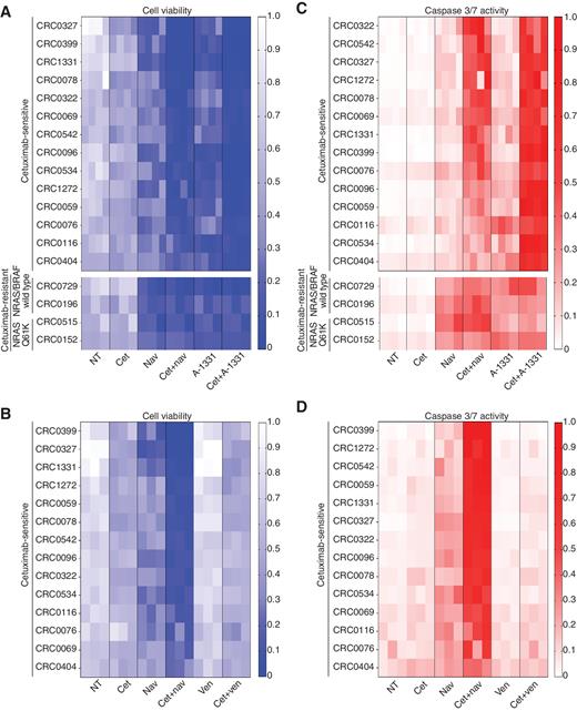Figure 2. Selective BCL-XL inhibition potentiates the therapeutic effect of EGFR blockade by unleashing apoptosis in cetuximab-sensitive organoids. Evaluation of cell viability based on ATP content (A and B) and evaluation of apoptosis based on caspase 3/7 activity (C and D) in 14 cetuximab-sensitive and four cetuximab-resistant PDXOs treated with the indicated drugs at the following concentrations: cetuximab, 20 μg/mL; navitoclax, 1 μmol/L; A-1331852, 0.5 μmol/L; venetoclax, 1 μmol/L. Organoids were treated for 48 hours in four independent experiments (cetuximab-sensitive PDXOs in A and C, top) or three independent experiments (cetuximab-resistant PDXOs in A and C, bottom; all models in B and D). For each experiment, results are shown as the means of four biological replicates (cetuximab-sensitive PDXOs in A and C, top) or five biological replicates (cetuximab-resistant PDXOs in A and C, bottom; all models in B and D). Caspase 3/7 activity signals were normalized against viable cells, which were treated in parallel with the same modalities and assessed by ATP content. NT, untreated control; Cet, cetuximab; Nav, navitoclax; Ven, venetoclax; A-1331, A-133852. Results of statistical analysis are reported in Supplementary Fig. S2.