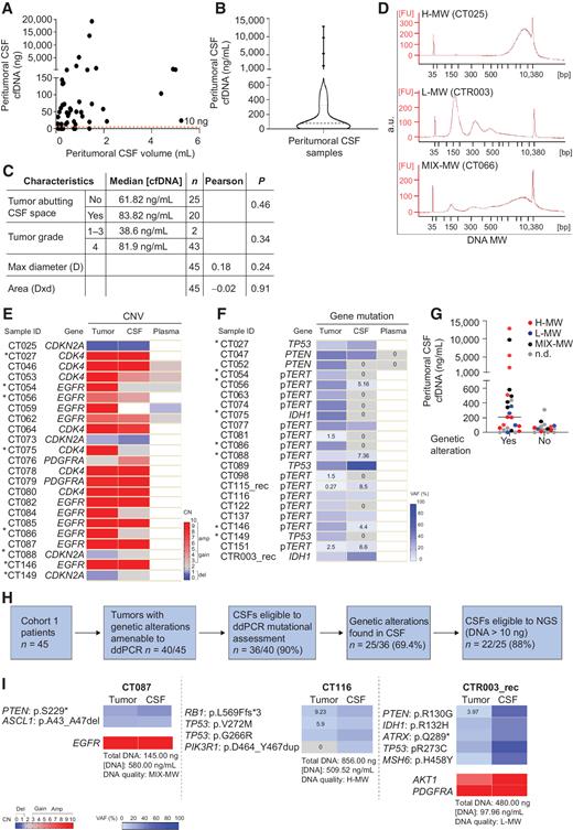Figure 2. Cohort 1: Comparative analysis of peritumoral CSF and tumor tissues A, Analysis of DNA amount versus CSF volume in peritumoral CSF samples from Cohort 1 (n = 45). Red line indicates the threshold of minimal DNA content (10 ng) for NGS analysis (Spearman correlation between total CSF DNA amount and volume, r = 0.36, P = 0.014). B, Analysis of cfDNA concentration in peritumoral CSF samples from Cohort 1 (n = 45). Gray line, median DNA concentration = 77.2 ng/mL. C, Correlation between peritumoral CSF cfDNA concentration and tumor features such as proximity to a CSF space (ventricle or cistern), tumor grade and size. Median cfDNA concentrations were compared between groups defined by proximity to CSF space or tumor grades (non parametric Wilcoxon–Mann–Whitney test). Maximal tumor diameter and areas (as reported in Supplementary Table S1) were correlated with cfDNA concentration in all CSF samples (Pearson correlation). N, number of tumors. D, cfDNA analysis showing the presence of either low (L) or high (H) or mixed (MIX) molecular weight (MW) DNA in representative CSF samples (Bioanalyzer output). E and F, Heatmaps showing peritumoral CSF samples eligible to ddPCR (n = 36) analyzed for selected genetic alterations found in the corresponding tumors. E, copy-number variations (CNV). Red, amplifications (CN > 5) and gains (3 < CN < 5); blue, deletions (CN < 1.5). Color legend for CNV is shown. F, Gene mutations. Color legend for VAF (variant allele frequency) is shown. VAF < 10% are reported. *, Samples tested for both CNV and mutations. G, Dot plot indicating cfDNA concentration and MW features in the groups of peritumoral CSF samples where tumor genetic alterations were detected (yes) or not (no) by ddPCR. No statistically significant association was found between DNA MW type and the possibility to detect mutations in CSF (χ2 test for a Ptrend = 0.39, df = 1). H, Flow-chart: Shortlisting of peritumoral CSF samples from sample collection to eligibility to NGS analysis. I, Comparative NGS analysis showing correspondence between matched peritumoral CSF cfDNAs and tumor tissue DNAs. CSF cfDNA total amount, concentration and quality (MW), and VAF < 10% are reported. Color legends for heatmaps (CN and VAF) are shown.