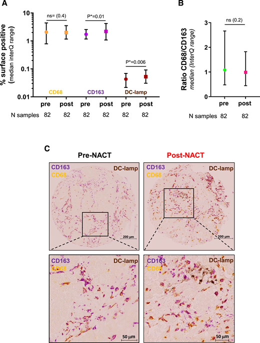 Relative abundance of macrophages and antigen-presenting cells (APCs) in pre- and post-NACT paired tumors. A, Median change in CD68+, CD163+, and DC-lamp+ populations in pre- and post-NACT tumors. Units are expressed as the percentage of positive-stained surface for each marker in each tumor. B, Change in the CD68/CD163 ratio pre- and post-NACT. C, Histology of pre- and post-NACT tumors stained for CD68 (yellow), CD163 (purple), and DC-lamp (brown) markers. The representative tumor spot from the boxes in the upper panels (scale bars: 200 μm) is shown enlarged in the lower panels (scale bars: 50 μm). A comparison of medians and ratios was performed using the nonparametric Wilcoxon test. A P value of 0.05 was considered significant.