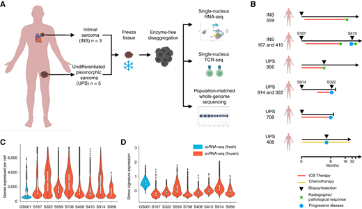 Experimental design and comparison of sequencing quality metrics between fresh and frozen samples. A, Outline for this study, describing sample preparation, and summary of analytic approaches used. B, Representative schematic describing the origin of each sample and patient treatment at the time of resection. C and D, Violin plots and boxplots displaying the (C) genes detected per cell and (D) stress signature expression per cell. The top and bottom edges of the boxplot display the 75th and 25th percentiles, respectively. Blue violin plots are from scRNA-seq from fresh tissue, and red violin plots are from snRNA-seq on frozen tissue.