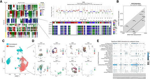 A, Representation of inferred CNAs in single cells across the chromosomal landscape of all eight snRNA-seq samples provided by Numbat (left). On the right is a detailed analysis of the selected S708 sample. IchorCNA on low pass whole-genome sequencing (ulp-WGS) revealing CNA (y-axis, log2 ratio), with amplification segments in red, deleted segments in green, gain segments in maroon, and copy neutral segments in blue (top; ref. 1). A breakdown of the copy number segments for each identified clone (bottom). The top bar provides a comparison of the inferred CNAs per clone based on snRNA-seq to CNA segments based on ulp-WGS for the selected sample. B, Pearson correlation and P-value of the FGA based on CNAs computed using ulp-WGS (x-axis) as compared with the estimated FGA based on CNAs computed using snRNA-seq (y-axis). Regression line and 95% confidence interval plotted, calculated using the MSE of the residuals. C, Merged, integrated, UMAP embedding displaying the annotated assignment of malignant (red) and non-malignant (blue) cell types across all eight snRNA-seq samples. D, Sample-wise UMAP embeddings of each snRNA-seq sample colored by respective CNA clones, revealing the impact of CNA differences on transcriptional output. For each sample, the measured tumor-diversity index is listed. E, GSEA of genes differentially expressed in clone across all eight samples that were assigned to malignant cell types. Only significant (P < 0.05) pathways are plotted for each clone. Dot size and color refer to the assigned q-score (−log adjusted P-value).