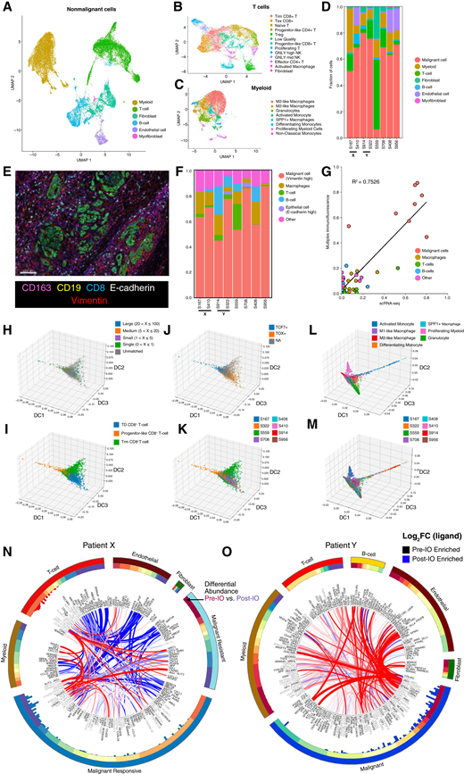 A, Merged, integrated, UMAP embedding displaying the annotated assignment nonmalignant cell types across all eight snRNA-seq samples. B and C, UMAP embedding of the integrated T cells (B) and myeloid cells (C) across all eight snRNA-seq samples, colored by cell type assignment. D, Stacked bar plots denoting the percentage breakdown of each observed cell type across each of the snRNA-seq samples. E, Representative multiplexed mIF image showing all the markers. F, Stacked bar plots denoting the percentage breakdown of each observed cell type across each of the patients using mIF. G, Correlation plot between different cellular proportion in snRNA-seq and mIF across all the patients. H–K, CD8+ T cells projected onto the DC space, colored by (H) clonotypes, (I) manual cell type assignment, (J) TCF+/TOX+ assignment, and (K) derived sample. L and M, Selected myeloid cells projected onto the DC space, colored by (L) manual cell type assignment and (M) derived sample. N and O, ContactTracing circus plot highlighting all pre-IO and post-IO significant ligand–receptor interactions across multiple cell types for patient X (N) and for patient Y (O). Each outer segment represents a specific cell type and across which ligands and receptors are represented. These are ordered based on the first DC (DC1) computed through ContactTracing. DC1 is visualized in the next ring. The histogram in the inner circle shows the magnitude of pretreatment ligand effects with an FDR q-value <0.05 computed by ContactTracing. Each interacting ribbon links a ligand to a receptor across multiple cell types, with ribbon thickness proportional to the number of genes expressing a pretreatment (red) or posttreatment (blue) dependent interaction effect. Ligands (black) and receptors (gray) are labeled at ribbon endpoints. Ribbon opacity is determined by the log fold-change difference of the complementary ligand across the pretreatment and posttreatment samples. Ribbons are filtered to involve a minimum of 12 pre- and posttreatment dependent interaction effects in the target cell type.