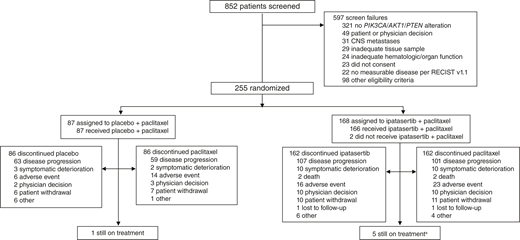 Patient profile. CNS, central nervous system. “a” denotes one patient receiving single-agent ipatasertib, one receiving single-agent paclitaxel, and three receiving both ipatasertib and paclitaxel.