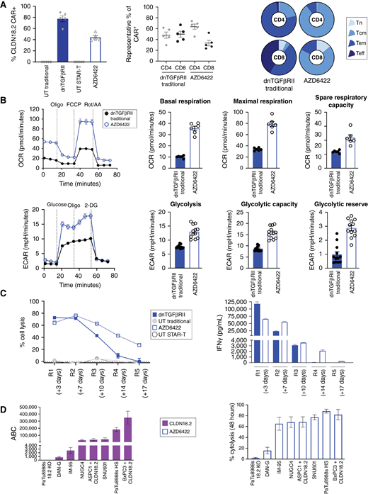 Optimized manufacturing protocol, STAR-T, for the generation of the CAR-T product. A, Baseline characteristics of donor-matched dnTGFβRII CAR-T cells with traditional manufacture (day 10) vs. AZD6422 (day 4), including CAR+ expression, percent CD4 and CD8 expression, and T-cell phenotypic status as determined by cell surface expression of CCR7 and CD45RO. Results are shown for naïve (CCR7+/CD45RO−, Tn), central memory (CCR7+/CD45RO+, Tcm), effector memory (CCR7−/CD45RO+, Tem), and effector (CCR7−/CD45RO−, Teff) cells. Data are shown as mean ± SEM of representative donors. B, Comparison of bioenergetic profiles of traditionally manufactured dnTGFβRII CAR-T cells vs. AZD6422. Spare respiratory capacity was determined as the differential between basal and maximum respiration. 2-DG, 2-deoxy-D-glucose; ECAR, extracellular acidification rate; FCCP, carbonyl cyanide p-trifluoro-methoxyphenyl hydrazone; OCR, oxygen consumption rate; Oligo, oligomycin; Rot/AA, rotenone and antimycin A. C, Serial restimulation assay to examine cytotoxicity and persistence of dnTGFβRII CAR-T cells and AZD6422. CAR-T cells were co-cultured at a ratio of 1:2 with BXPC3 + CLDN18.2, tumor lysis was measured every 3 to 4 days, and IFNγ was profiled at 24 hours after each new co-culture. Representative of multiple donors. D, Results of quantitative FC to determine cell surface expression of CLDN18.2 across multiple cancer cell lines. Percent cytolysis was determined by xCELLigence RTCA assay after 48 hours of co-culture with AZD6422 at an E:T ratio of 1:1. Data represent mean ± SEM of replicate experiments.