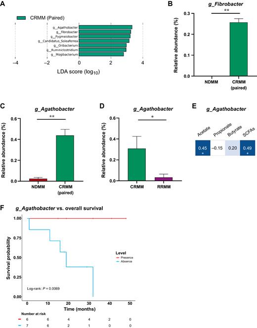 Figure 4. Gut microbiota associated with the survival of the disease. A, Taxonomic biomarkers identified by LEfSe analysis between multiple myeloma at diagnosis (NDMM) and at complete remission (CRMM) in paired samples. B–D, Relative abundance (%) of the genus (B) Fibrobacter and (C) Agathobacter in paired samples and (D) Agathobacter in CRMM and RRMM. The results are represented by mean ± SEM. *, P < 0.05. E, Correlation between Agathobacter and SCFAs. Blue color represents a positive correlation (Pearson correlation) and the intensity is proportional to the correlation coefficients. Significant correlation is indicated by * (P < 0.05). F, Kaplan–Meier curve representation of survival probability in patients after receiving treatment (CRMM and RRMM) with presence (red) or absence (blue) levels of Agathobacter.