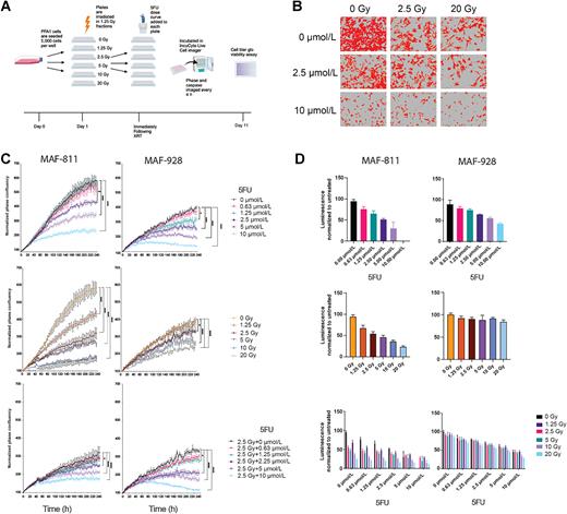 Figure 1. In vitro evaluation of combination 5FU and radiation in 1q+ PFA cell lines. A, Schematic of timing and order of treatments for in vitro studies. B, Representative phase contrast images from IncuCyte live-cell imager with confluence mask overlay (red). C, Proliferation curves following treatment with 5FU alone (top), radiation alone (middle), and combination 2.5 Gy and 5FU (bottom). Data represented as normalized phase confluency. *, P < 0.05; ****, P < 0.0001. D, Viability assays measured by CellTiter-Glo after 10 days of treatment with 5FU alone (top), radiation alone (middle), and combination (bottom). Data are represented as normalized luminescence to the untreated controls. (A, Created with BioRender.com.)