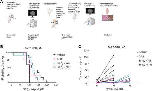 Figure 3. In vivo efficacy of combination radiation and 5FU treatment. A, Treatment strategy for in vivo experiments. B, Survival for 1q+ PFA mice treated with 5FU, radiation, or combination radiation and 5FU. C, Tumor volume as measured from MRI scans that were available. (A, Created with BioRender.com.)