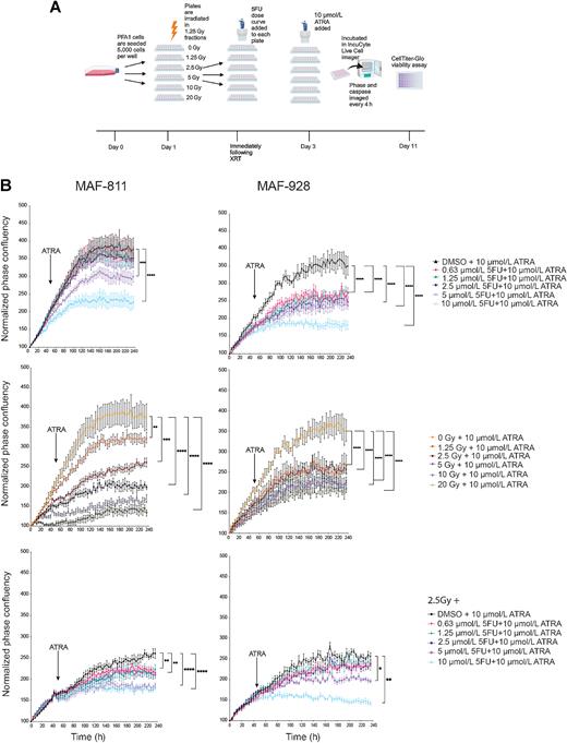 Figure 4. ATRA treatment enhances combination radiation and 5FU treatment in vitro. A, Timeline and order of in vitro experiments. B, Representative phase confluency images from IncuCyte live-cell imager with confluency mask (red). (A, Created with BioRender.com.)