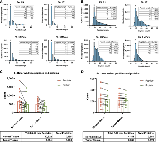 Identification of HLA class I–bound peptides from patient PDAC tumor specimen and matched normal tissue specimen. Histograms show representative length distribution of (A) MaxQuant database searched peptides and (B) Novor de novo sequencing searched peptides from PA_1 and PA_9. The numbers of peptides and proteins identified in both tumor and paired normal specimens (n = 16) using (C) MaxQuant database search and (D) Novor de novo sequencing search are shown. Each line matching a set of peptide and protein counts symbolizes one patient. The total number of 8–11 mer peptides and total protein content were calculated by summing the individual amounts of each peptide and protein from all 16 normal or tumor specimens. Proteins from which the peptides are derived were identified using MS-Homology (http://prospector.ucsf.edu).