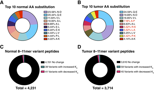 Properties of normal and tumor-specific variant peptides. (A) and (B) show the top 10 AA substitution patterns in the variant peptide pool of normal and tumor specimens, respectively. The percentage shown is out of the total peptides that contain one of these top 10 AA substitutions. AA substitutions only found within tumor samples’ top 10 substitutions are highlighted in red. AA substitutions were identified using MS-Homology (http://prospector.ucsf.edu). (C) and (D) show the number of variant peptides with increased and decreased binding affinity (KD) identified in normal and tumor tissues, respectively. Variant peptides with decreased KD are defined as those with (1) KD below 500 nmol/L and (2) at least two-fold lower KD compared with its wild-type counterpart. Variant peptides with increased KD are defined as those with (1) wild-type counterpart peptide with KD below 500 nmol/L and (2) at least two-fold higher KD compared with its wild-type counterpart. BA was predicted using NetMHCpan4.0.