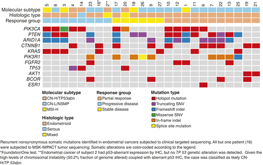 Recurrent genetic alterations in endometrial cancers from evaluable patients by molecular subtype, histology, and response. SNV, single-nucleotide variant.