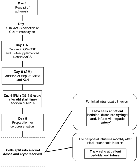 肝臓がん治療に細胞ベースワクチンを追加することで患者の癌進行を遅延(Adding cell-based vaccine to liver cancer therapy slows cancer progression in patients) 肝臓がん治療に細胞ベースワクチンを追加することで患者の癌進行を遅延(Adding cell-based vaccine to liver cancer therapy slows cancer progression in patients)