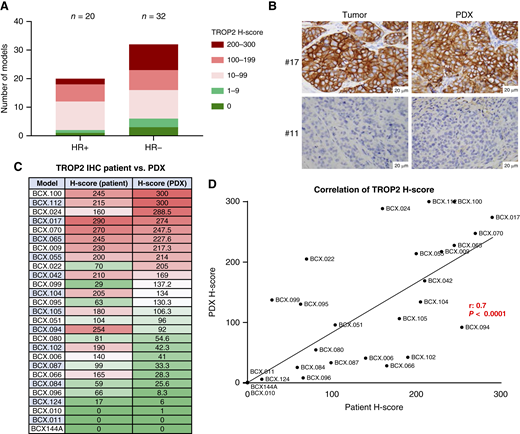 TROP2 membrane expression in BCXs and matched tumor samples. A, TROP2 membrane expression (H-score) shown for 52 PDX models (as determined by IHC) relative to HR and HER2 status shown. HR+ is defined as greater than 5% expression of estrogen receptor or progesterone receptor. B, Representative images of TROP2-positive (BCX.017) and -negative (BCX.011) IHC. C, TROP2 membrane expression (H-score) was assessed in 27 patient tumors and matched BCXs by IHC. D, TROP2 H-score in BCXs correlated with TROP2 expression in matched patients (r = 0.6991; P < 0.0001).
