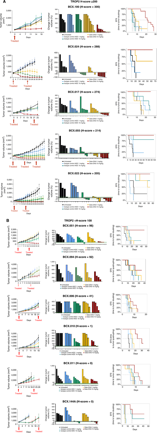 In vivo efficacy of Dato-DXd and IgG-DXd in a panel of BCXs. Eleven PDXs were treated with Dato-DXd or IgG-DXd (nonspecific antibody linked to DXd) at 1 or 10 mg/kg i.v. on day 1 per 21-day cycle. Arrows indicate day of treatment. BCXs are shown in order of highest to lowest TROP2 expression, as determined by IHC; TROP2 H-score shown above each BCX. A, TROP2-positive BCXs. B, TROP2-negative BCXs. Data are shown from left to right for each model: mean tumor volume ± SEM, change in tumor volume from baseline of individual mice at 21 days unless otherwise indicated (BCX.010, BCX.100, and BCX.011 on day 18 and BCX.144A on day 11), and Kaplan–Meier curve of EFS defined as time to tumor doubling (EFS-2) or quadrupling (EFS-4) from baseline (day 1).