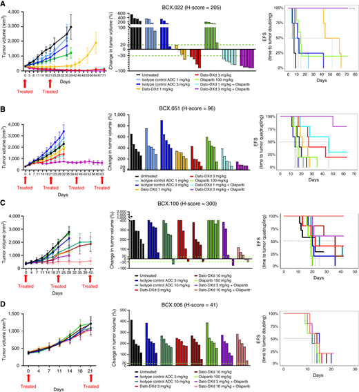 The combination of Dato-DXd and olaparib has increased efficacy in TROP2-expressing breast cancer. A and B, Breast PDXs were treated with either 1 or 3 mg/kg Dato-DXd on day 1 per 21-day cycle in combination with olaparib (100 mg/kg, daily, PO). C and D, BCXs were treated with 3 and 10 mg/kg Dato-DXd on day 1 per 21-day cycle in combination with olaparib (100 mg/kg, daily, PO). Column 1 shows the mean tumor volume ± SEM. Column 2 shows change in tumor volume at the time the controls reached maximum allowable size or at day 21 of treatment. Column 3 shows Kaplan–Meier curve, with an event being defined as time to tumor doubling (EFS-2) or quadrupling (EFS-4).