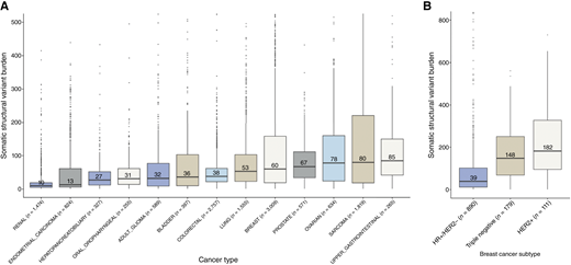 SV burden and associated copy number state across solid tumors and within breast cancer subtypes. A, Somatic SV burden across adult solid tumor types, as obtained from the 100,000 Genomes Project. The median SV burden for each cancer type is annotated on the corresponding boxplot. Note that cancer types with <100 samples are excluded from visualization. B, Somatic SV burden within breast cancer clinical receptor subtypes, as derived from the 100,000 Genomes Project.