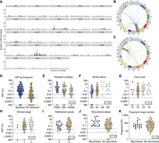 Tumor-specific SV-based assay analysis. A, Histogram of the genomic coordinates of validated SV breakpoints genome wide in the EBC cohort (n = 100) using 100,000 bp bins. B and C, Example Circos plots showing the breakpoint coordinates of all validated SV junctions in which one of the breakpoints falls on chromosome 8 or chromosome 17. D, Representation of VAF at baseline (n = 95) and in all samples (n = 568) tested in the EBC cohort. Comparison of baseline VAF and routine clinical variables: (E) receptor subtype, (F) clinical nodal status, (G) tumor size, (H) clinical stage, and (I) Nottingham grade as assessed on the diagnostic biopsy and (J) in participants with and without recurrence (including local recurrence). K, Fingerprint copy number in those with and without recurrence. Chr, chromosome; CN, copy number; N, nodal status; ND, not detected; T, tumor size.