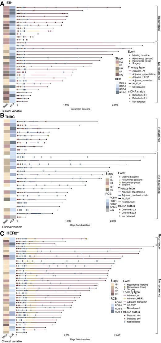 Swimmer plots and clinical events. Participants’ clinical timeline and timeline of plasma collection for ctDNA analysis for (A) ER+, (B) TNBC, and (C) HER2+ EBC. Plots are broken down by participants with and without clinical recurrence and individual stage (I, II, and III) as well as RCB is defined. FUP, follow-up.
