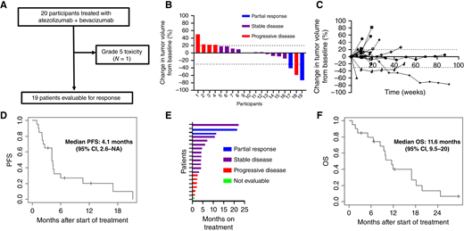 Consort diagram (A), waterfall plot (B), spider plot (C), PFS (D), swimmer’s plot (E), and OS (F) for atezolizumab and bevacizumab.