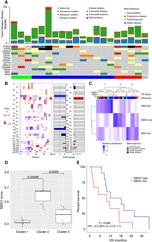 Most commonly mutated genes (A) and chromosome alterations (B) for study participants; unsupervised clustering according to SBS signatures (C) reveals SBS31 as unique to cluster 2 (D) and OS (E) according to SBS31 signature.
