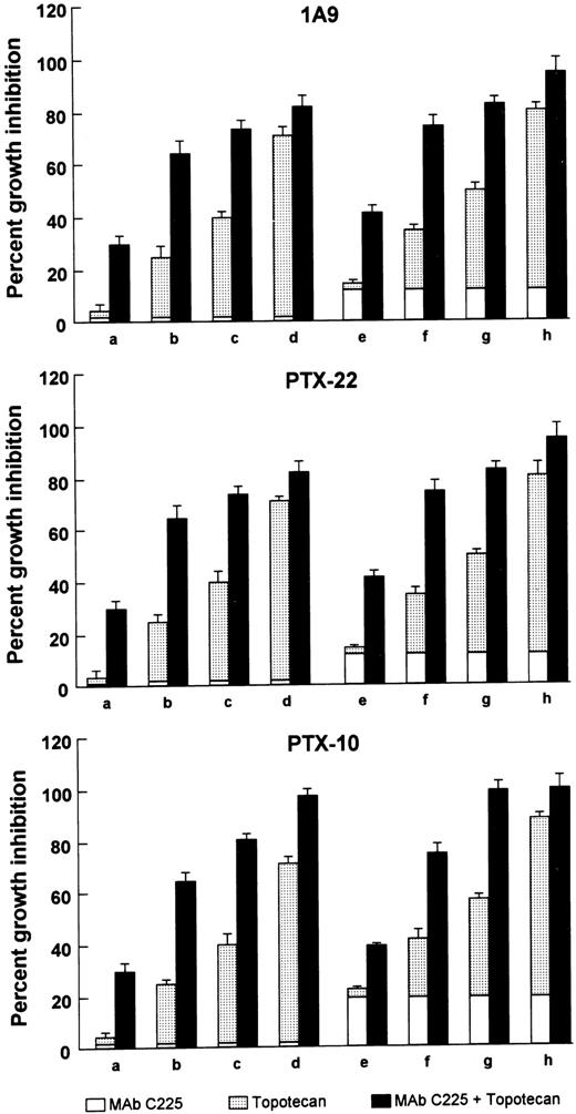Fig. 3. Growth-inhibitory effects of the sequential treatment with topotecan and MAb C225 on the soft agar growth of 1A9, PTX-10, and PTX-22 cancer cells. Topotecan: 1 nm (a and e), 5 nm (b and f), 10 nm (c and g), 25 nm (d and h). MAb C225: 0.5 μg/ml (a–d), 1 μg/ml (e–h). Cells were plated in soft agar as described in “Materials and Methods” and treated sequentially with topotecan on days 1 and 2 and with MAb C225 on days 3 and 5 or with each agent alone. Colonies were counted after 10–14 days. Data are expressed as percentage of growth inhibition as compared with the growth of untreated control cells. For each pair of columns, the height of the columns on the left represents the sum of the effect of each agent and, therefore, the expected growth inhibition if their effect is additive when used in combination. The total height of the columns on the right indicates the observed growth inhibition when the agents are used in combination. The difference between the heights of the paired columns reflects the magnitude of cooperativity on growth inhibition. Data represent the average of three different experiments, each performed in duplicate; bars, SD.