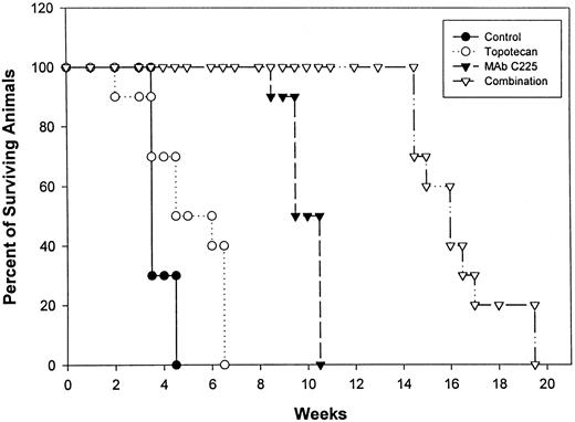 Fig. 6. Effects of topotecan and/or MAb C225 treatment on the survival of GEO tumor-bearing mice. The experimental design is described in the legend to Fig. 5<$REFLINK>. •, Control; ○, topotecan; ▾, MAb C225; ▿, topotecan followed by MAb C225. Thirty mice/group were monitored for survival. Differences in animal survival among groups were evaluated using the Mantel-Cox log-rank test. Mice survival was significantly different between the MAb C225-treated group and the control group (P < 0.001); the MAb C225-treated group and the topotecan-treated group (P < 0.001); the topotecan-treated group and the control group (P < 0.02); the topotecan plus MAb C225-treated group and the control group (P < 0.001); the topotecan plus MAb C225-treated group and the MAb C225-treated group, (P < 0.001); and the topotecan plus MAb C225-treated group and the topotecan-treated group, (P < 0.001).