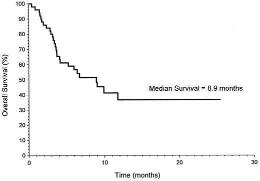 Fig. 2. Actuarial survival curve.