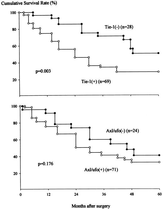 Fig. 2. Cumulative survival curve in gastric adenocarcinoma patients according to tie-1 (top) or axl/ufo (bottom) PTK immunoreactivity. The survival rate was calculated by the Kaplan-Meier method. Statistical comparisons were made with the general Wilcoxon test. P < 0.05 was considered significant.