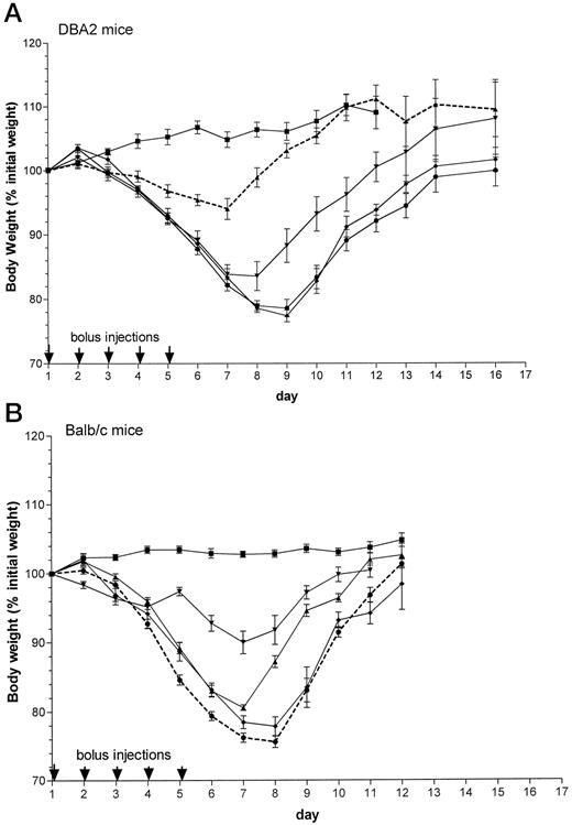 Balb/c Mice as a Preclinical Model for Raltitrexed-induced ...