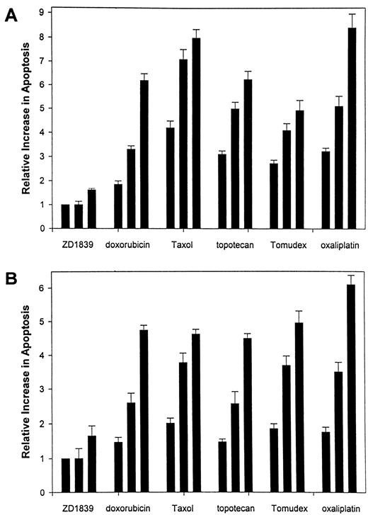 Fig. 6. Induction of apoptosis by treatment with ZD-1839 in combination with the indicated cytotoxic drugs in GEO(A) or OVCAR-3 (B) cells. Cells were treated with ZD-1839 alone (0, 0.05, or 0.1 μm each day for 3 days); with doxorubicin (0.5 μg/ml on day 1), alone or in combination with ZD-1839 (0.05 or 0.1 μm each day for 3 days); with paclitaxel (Taxol; 5 nm on day 1), alone or in combination with ZD-1839 (0.05 or 0.1 μm each day for 3 days); with topotecan (5 nm on days 1 and 2), alone or in combination with ZD-1839 (0.05 or 0.1 μm each day for 3 days); with raltitrexed (Tomudex; 0.05 μm on days 1 and 2), alone or in combination with ZD-1839 (0.05 or 0.1 μmeach day for 3 days); or with oxaliplatin (1 μg/ml on day 1), alone or in combination with ZD-1839 (0.05 or 0.1 μm each day for 3 days). Analysis of apoptosis was performed 4 days after the beginning of treatment. Data represent the averages of quadruplicate determinations; bars, SD.