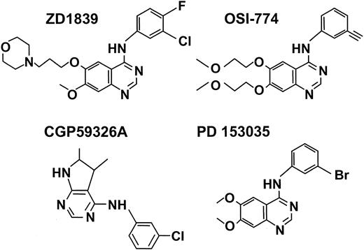 Fig. 5. Small molecule inhibitors of the tyrosine kinase domain of the EGFR.