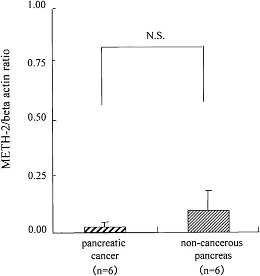 Fig. 4. METH-2 expression in pancreatic cancer and in noncancerous pancreas. METH-2 expression was quantified with TaqMan RT-PCR in six paired samples of pancreatic cancers and noncancerous pancreas. METH-2 expression was quite low in both tissues compared with β-actin, which was consistent with the level of expression of METH-2 in pancreatic cancer cell lines; bars, ± SE.